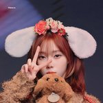 얼짱 강아지!!! 두둥 <b>등장</b>!!!