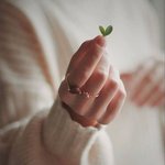 [타로] 최근의 타로<b>리딩</b>