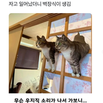 자고 일어났더니 벽<b>장식</b>이 생김ㅋㅋ