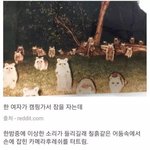 여자 혼자 <b>캠핑</b>가면 안 되는 이유