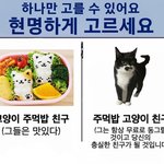 [드루와] 무언가를 <b>시작</b>하는게 어려움