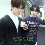 젤피 돈 많이 벌었나보네