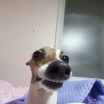 왜 이 시간엔 정병이 많은거지