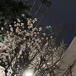 [ㅈㄱㄴ] <b>시골판녀</b> 심심하니까 질문받음