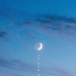 [타로] 최근의 타로<b>리딩</b>