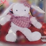 [드루와] 어릴때 <b>애착</b>인형 찾는 거 도와줄 사람ㅠㅠ