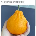 블핑 지수 이번에는 <b>한라</b>붕