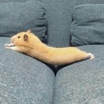 얘들아 이 말투 기분나쁨??
