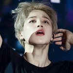 내 취향 남돌 다 <b>모아</b>봤는데 어때?