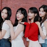 [단독] 뉴진스, 아이유 월드투어 스페셜 게스트 출격