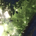 [타로] 최근의 타로<b>리딩</b>