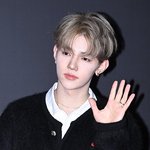 혹시 장하오는 퍼컬이 기사사진이야?