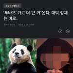 이 정도 <b>스펙</b>이면 기자 될 수 있냐