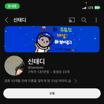 10개월만에 이혼한 유튜버 <b>신태디</b> 이혼사유 아는 사람