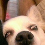 너네 판 <b>섭</b><b>종</b>하면 어떨것같음