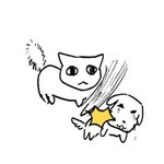와 반<b>배정</b> 개망함