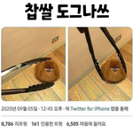 <b>찹쌀</b>도그나쓰ㅋㅋㅋㅋㅋㅋ