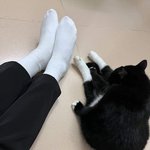 너네들은 <b>손절</b>한 친구한테
