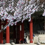 3·1절 연휴 일본 여행 상품은 '불티'라는데…"매국노냐" vs...
