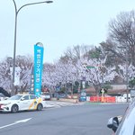 [모두드루와] 꽃 핀줄 알고 가까이 갔더니....