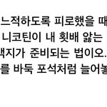 이상 날개 유명한 <b>부분</b>만 알았는데