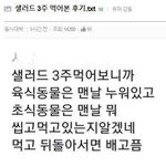 [모두드루와] <b>샐러드</b> 3주 먹어본 후기
