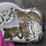 노량진 새벽시장