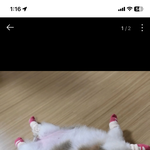 네이버 리뷰보는데