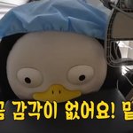 [드루와] 그곳을 꼬집힌 <b>펭수</b>
