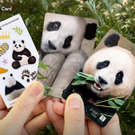 ‘푸통카드’ 대란 왜? 푸바오는 떠나도 귀여움은 남으니까