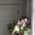 [타로] 최근의 타로리딩