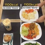 같은 칼로<b>린데</b> 양 차이봐