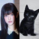 <b>해린코어</b> 쎈이유