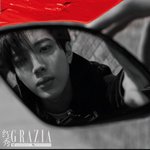 [드루와] 나ㅈㄴ소나무<b>취향</b>