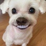 난 진짜 맨날 붙어다니는 <b>짱친</b> 있는애들이