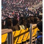 아이유 콘서트에 이효리는 안 불렀나봐