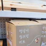대한민국 남녀가 결혼해서 아이를 낳게하는 방법?