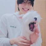 엔하이픈 정원 마음이 라방..