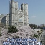 경희대생은 <b>전생</b>에 무슨 일을 했길래