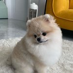 에이티즈 성화랑 오마이걸 <b>비니</b> 무슨 사이야?