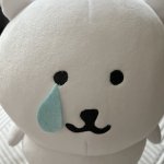 [드루와] 나 진짜 __지<b>잡대</b>인데