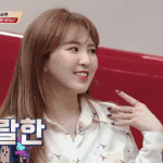 [댓글부탁해] 웬디 흑인 비하 논란 어떻게 생각함?