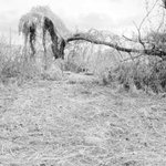 [<b>TXT</b>] 이거 데이드림인가