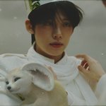 [<b>TXT</b>] 연준이랑 사막여우랑