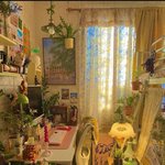 <b>아늑</b>하려면 좀 이렇게 복닥복닥해야지