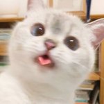 <b>저녁</b>