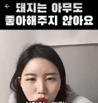 뚱뚱하고 못생긴 <b>돼지</b>는 아무도 좋아해주지 않아요