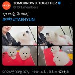 [<b>TXT</b>] 너도 귀여워!