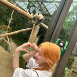 <b>푸바오</b>에 진심인 아이돌