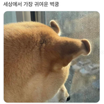 벽<b>쿵</b>! <b>심쿵</b>!